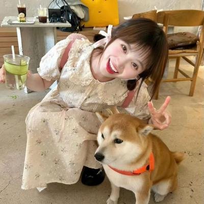 蜘蛛的策略